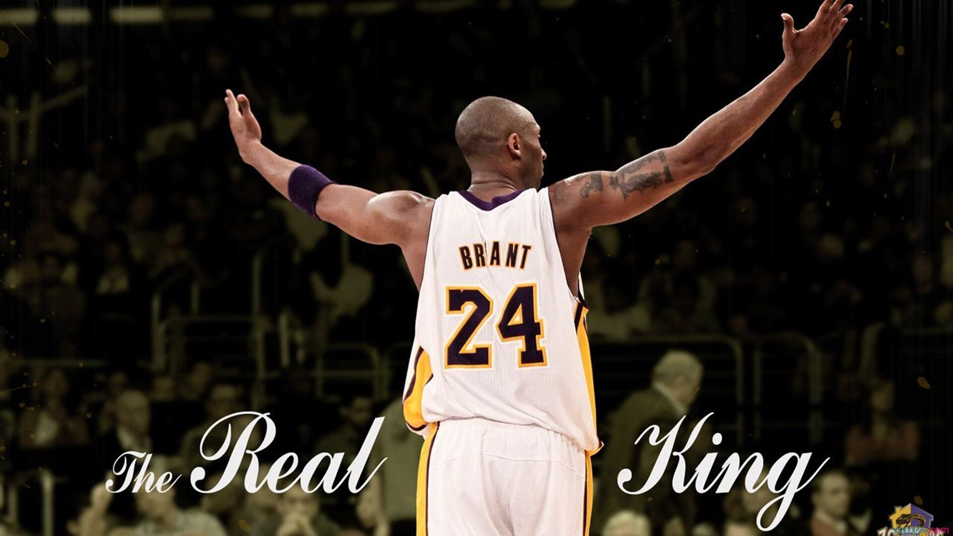 九游娱乐官方-NBA宣布开设“全球篮球文化研究中心”，nba全球篮球球员